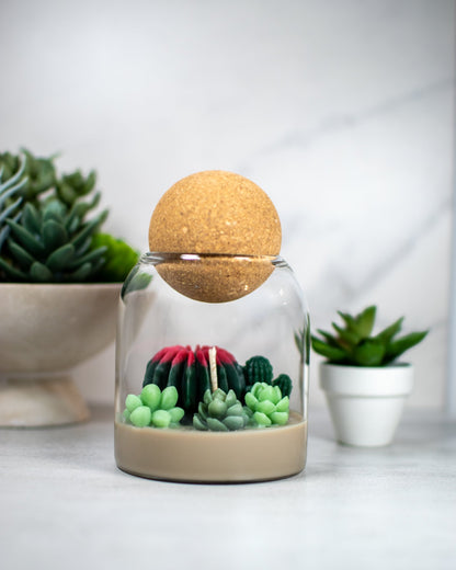 Succulent Terrarium | Floral Container Candle - Amaryllis Custom CraftsCandleAmaryllis Custom Crafts