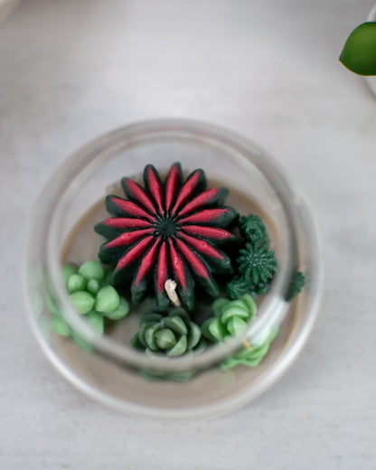 Succulent Terrarium | Floral Container Candle - Amaryllis Custom CraftsCandleAmaryllis Custom Crafts