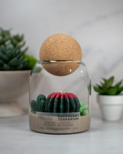 Succulent Terrarium | Floral Container Candle - Amaryllis Custom CraftsCandleAmaryllis Custom Crafts