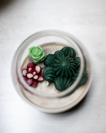 Succulent Terrarium | Floral Container Candle - Amaryllis Custom CraftsCandleAmaryllis Custom Crafts