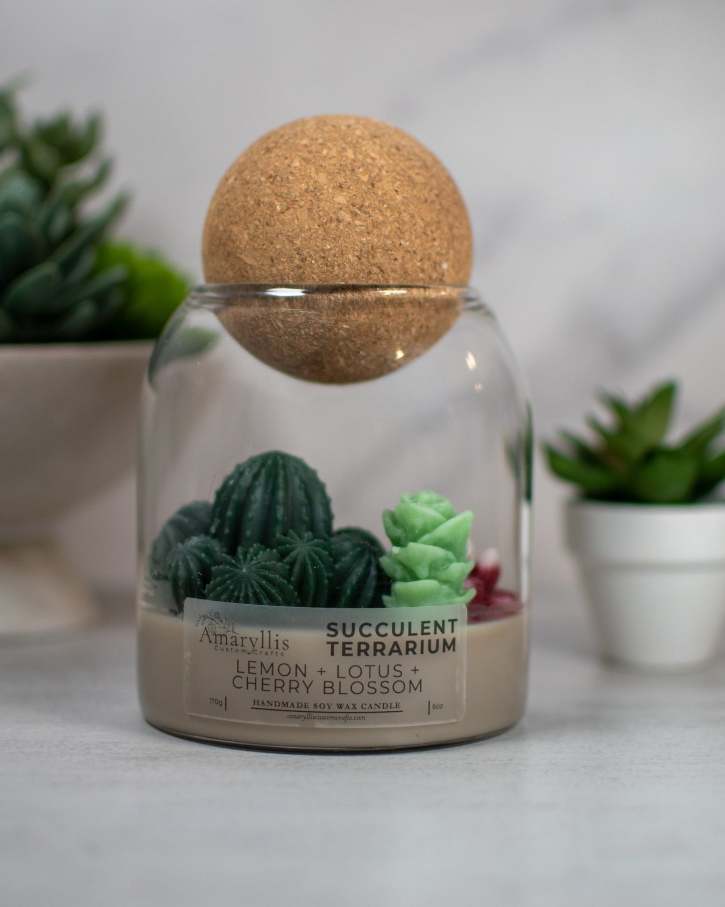 Succulent Terrarium | Floral Container Candle - Amaryllis Custom CraftsCandleAmaryllis Custom Crafts